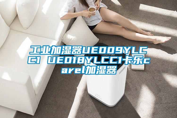 工業(yè)加濕器UE009YLCC1 UE018YLCC1卡樂(lè)carel加濕器
