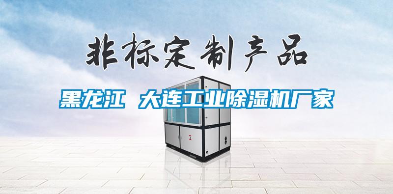 黑龍江 大連工業(yè)除濕機(jī)廠(chǎng)家