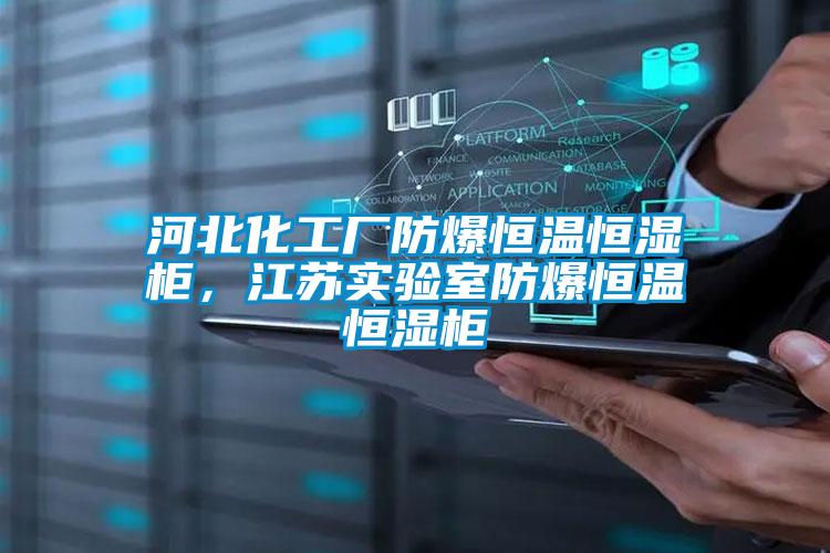 河北化工廠防爆恒溫恒濕柜，江蘇實驗室防爆恒溫恒濕柜