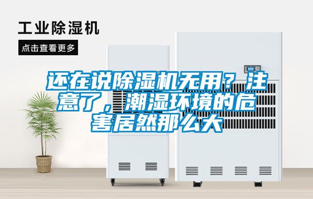 還在說除濕機(jī)無用？注意了，潮濕環(huán)境的危害居然那么大