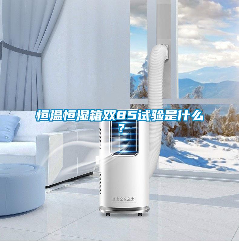 恒溫恒濕箱雙85試驗是什么？