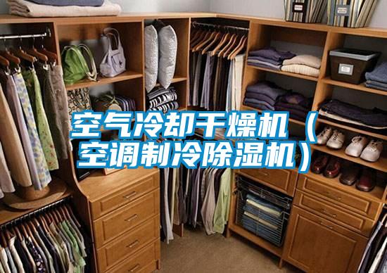 空氣冷卻干燥機(jī)（空調(diào)制冷除濕機(jī)）