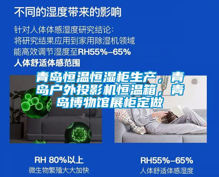 青島恒溫恒濕柜生產(chǎn)，青島戶外投影機(jī)恒溫箱，青島博物館展柜定做