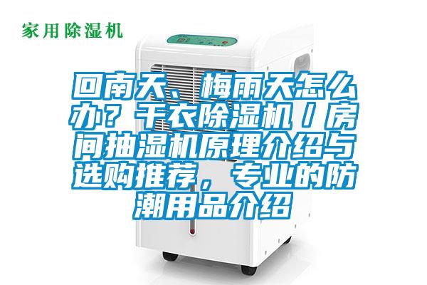 回南天、梅雨天怎么辦？干衣除濕機(jī)／房間抽濕機(jī)原理介紹與選購?fù)扑]，專業(yè)的防潮用品介紹