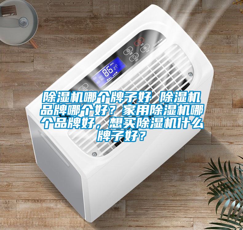 除濕機哪個牌子好 除濕機品牌哪個好？家用除濕機哪個品牌好，想買除濕機什么牌子好？