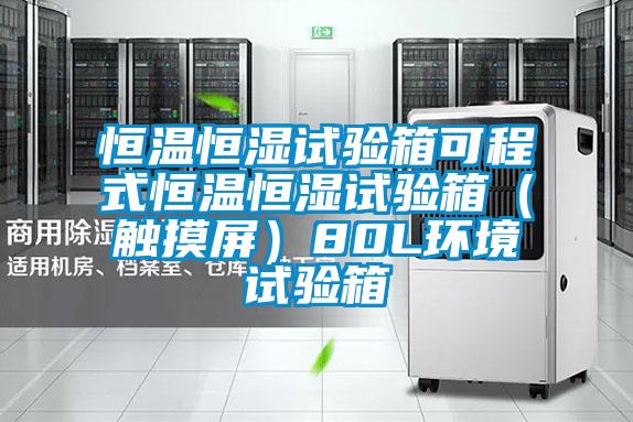 恒溫恒濕試驗(yàn)箱可程式恒溫恒濕試驗(yàn)箱(觸摸屏)80L環(huán)境試驗(yàn)箱