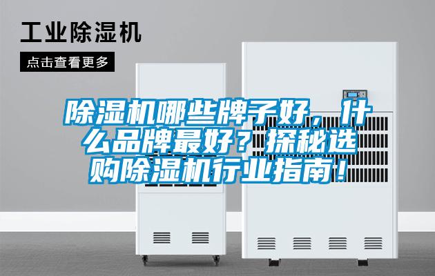 除濕機(jī)哪些牌子好，什么品牌最好？探秘選購除濕機(jī)行業(yè)指南！