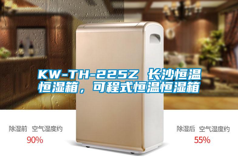 KW-TH-225Z 長沙恒溫恒濕箱，可程式恒溫恒濕箱