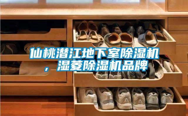 仙桃潛江地下室除濕機(jī)，濕菱除濕機(jī)品牌