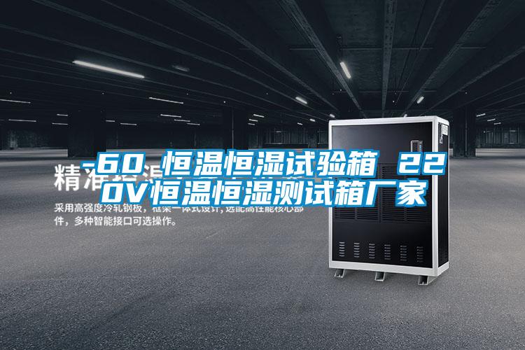-60℃恒溫恒濕試驗(yàn)箱 220V恒溫恒濕測(cè)試箱廠(chǎng)家
