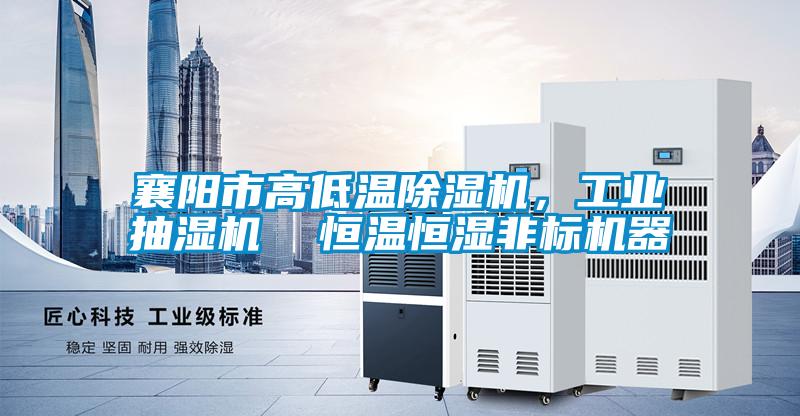襄陽市高低溫除濕機(jī)，工業(yè)抽濕機(jī)  恒溫恒濕非標(biāo)機(jī)器