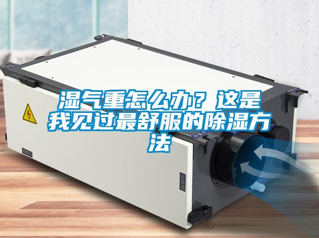 濕氣重怎么辦？這是我見過最舒服的除濕方法