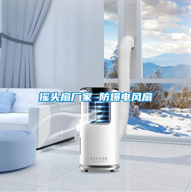 搖頭扇廠(chǎng)家 防爆電風(fēng)扇