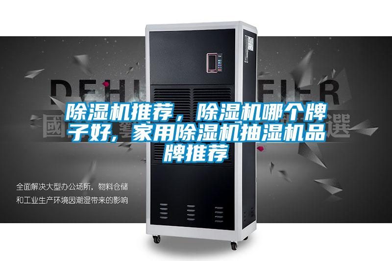 除濕機(jī)推薦,除濕機(jī)哪個(gè)牌子好, 家用除濕機(jī)抽濕機(jī)品牌推薦