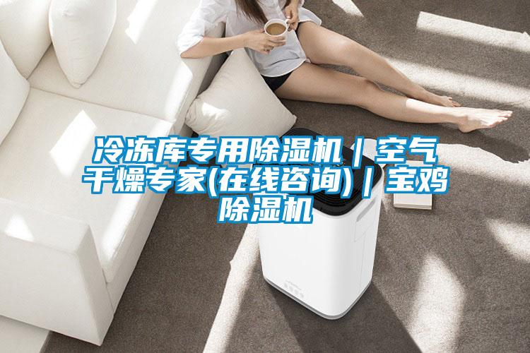 冷凍庫專用除濕機(jī)|空氣干燥專家(在線咨詢)|寶雞除濕機(jī)