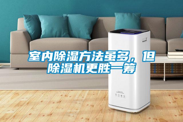 室內(nèi)除濕方法雖多，但除濕機(jī)更勝一籌