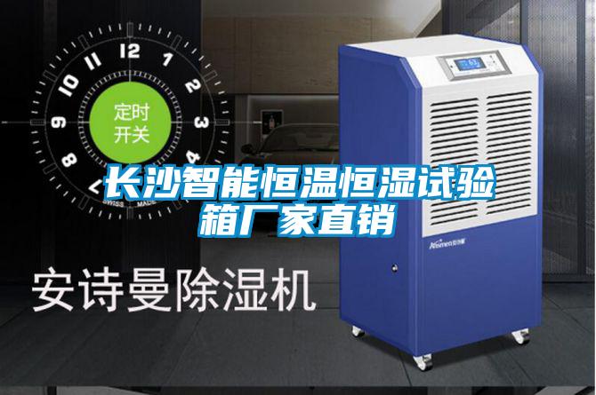 長(zhǎng)沙智能恒溫恒濕試驗(yàn)箱廠家直銷(xiāo)