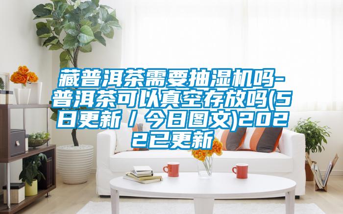 藏普洱茶需要抽濕機嗎-普洱茶可以真空存放嗎(5日更新/今日圖文)2022已更新