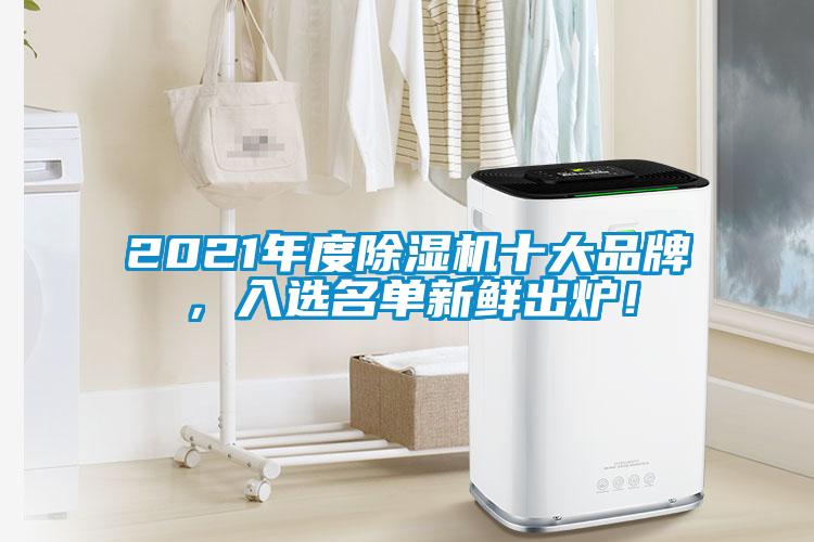 2021年度除濕機十大品牌，入選名單新鮮出爐！