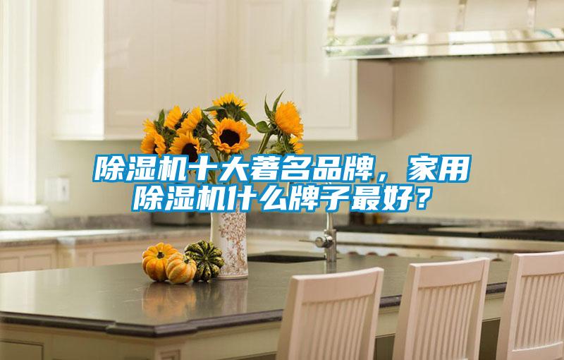 除濕機(jī)十大著名品牌，家用除濕機(jī)什么牌子最好？