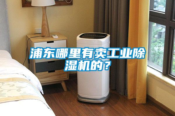 浦東哪里有賣工業(yè)除濕機的？