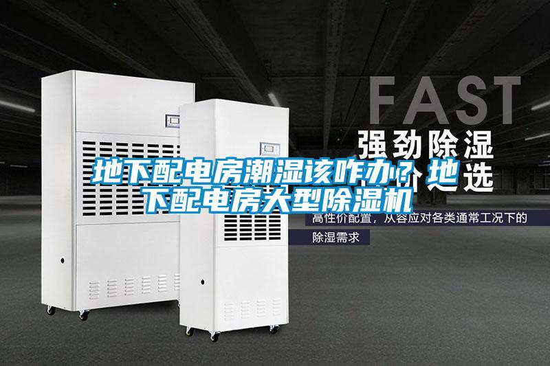 地下配電房潮濕該咋辦？地下配電房大型除濕機(jī)