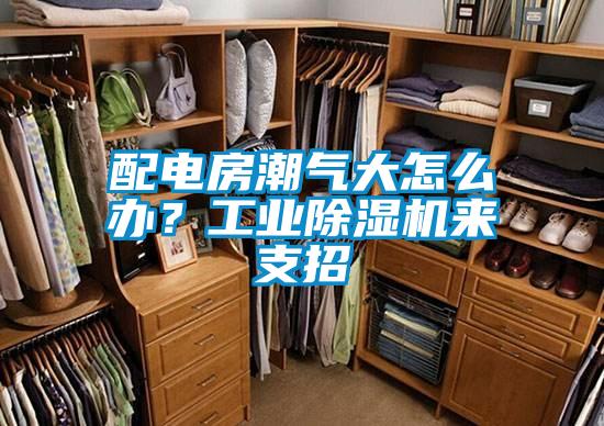 配電房潮氣大怎么辦？工業(yè)除濕機(jī)來(lái)支招