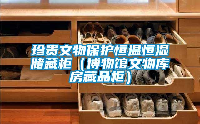 珍貴文物保護(hù)恒溫恒濕儲(chǔ)藏柜(博物館文物庫(kù)房藏品柜)
