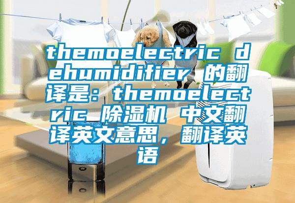 themoelectric dehumidifier 的翻譯是：themoelectric 除濕機(jī) 中文翻譯英文意思，翻譯英語