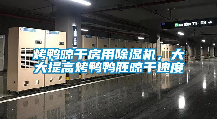烤鴨晾干房用除濕機，大大提高烤鴨鴨胚晾干速度