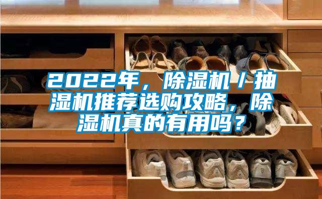 2022年，除濕機／抽濕機推薦選購攻略，除濕機真的有用嗎？