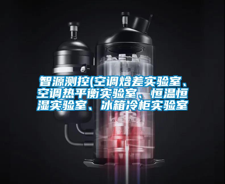 智源測控(空調(diào)焓差實驗室、空調(diào)熱平衡實驗室、恒溫恒濕實驗室、冰箱冷柜實驗室
