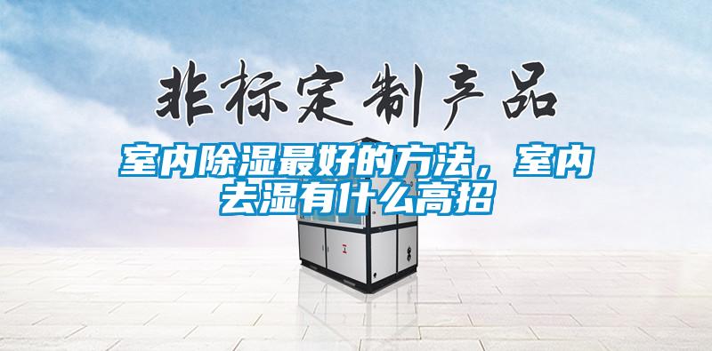 室內(nèi)除濕最好的方法，室內(nèi)去濕有什么高招
