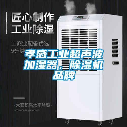 孝感工業(yè)超聲波加濕器，除濕機品牌