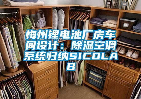 梅州鋰電池廠房車間設(shè)計:除濕空調(diào)系統(tǒng)歸納SICOLAB