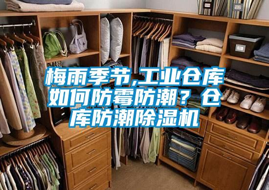 梅雨季節(jié),工業(yè)倉庫如何防霉防潮？倉庫防潮除濕機