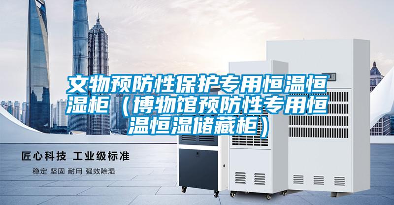 文物預(yù)防性保護(hù)專用恒溫恒濕柜(博物館預(yù)防性專用恒溫恒濕儲(chǔ)藏柜)