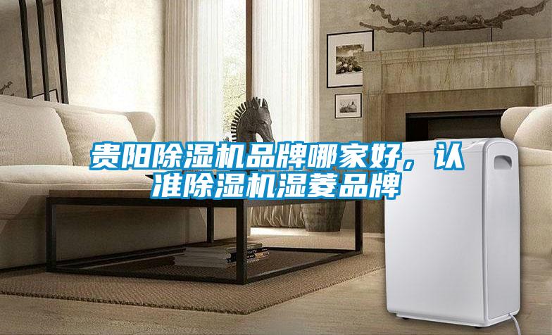 貴陽除濕機品牌哪家好，認準除濕機濕菱品牌