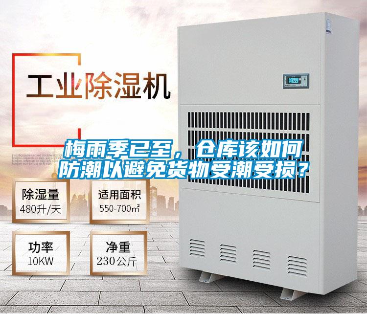 梅雨季已至，倉庫該如何防潮以避免貨物受潮受損？