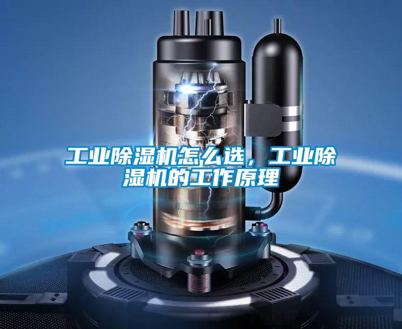工業(yè)除濕機怎么選，工業(yè)除濕機的工作原理