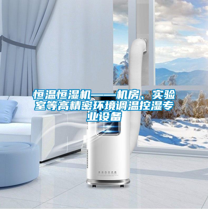 恒溫恒濕機——機房、實驗室等高精密環(huán)境調(diào)溫控濕專業(yè)設(shè)備