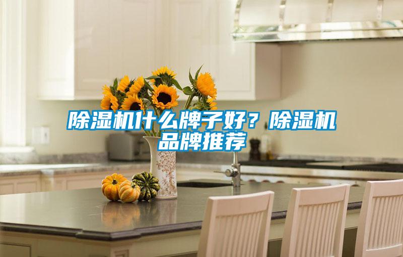 除濕機(jī)什么牌子好？除濕機(jī)品牌推薦