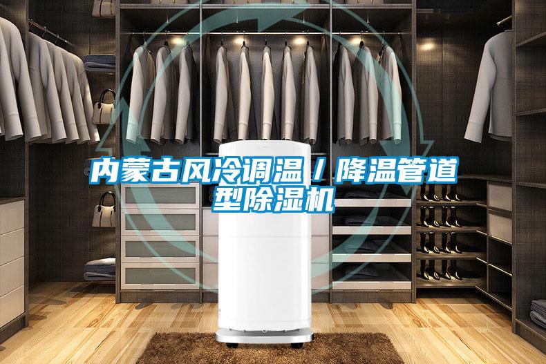 內(nèi)蒙古風(fēng)冷調(diào)溫/降溫管道型除濕機