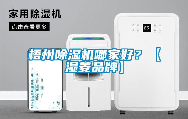 梧州除濕機哪家好？【濕菱品牌】