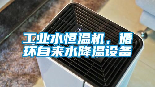 工業(yè)水恒溫機(jī),循環(huán)自來水降溫設(shè)備