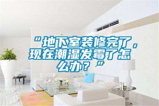 “地下室裝修完了，現(xiàn)在潮濕發(fā)霉了怎么辦？”