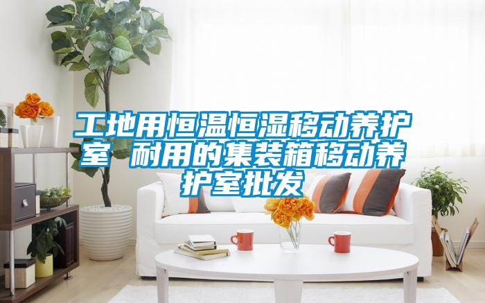 工地用恒溫恒濕移動養(yǎng)護(hù)室 耐用的集裝箱移動養(yǎng)護(hù)室批發(fā)