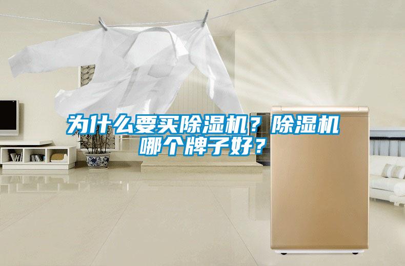 為什么要買除濕機(jī)？除濕機(jī)哪個(gè)牌子好？