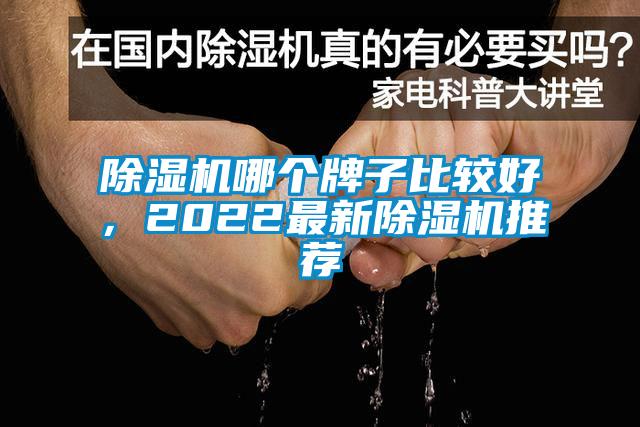 除濕機哪個牌子比較好，2022最新除濕機推薦