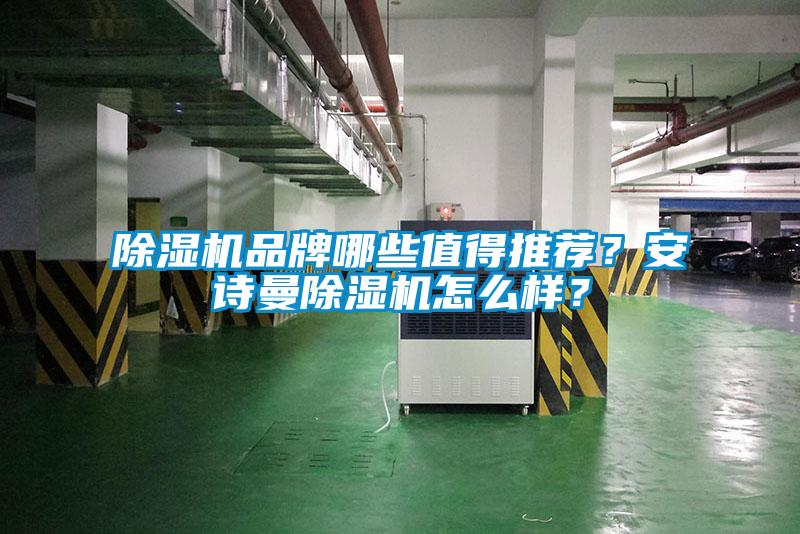 除濕機(jī)品牌哪些值得推薦？安詩(shī)曼除濕機(jī)怎么樣？